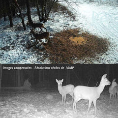 caméra de chasse tr-81x 4g vue d'ensemble