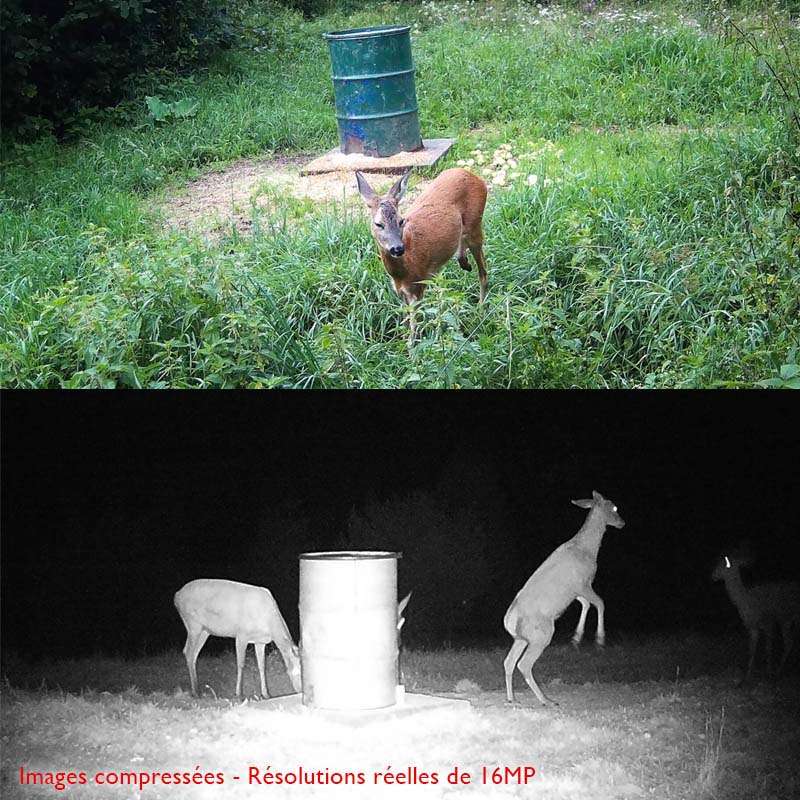 caméra de chasse tr-90s wifi vue d'ensemble
