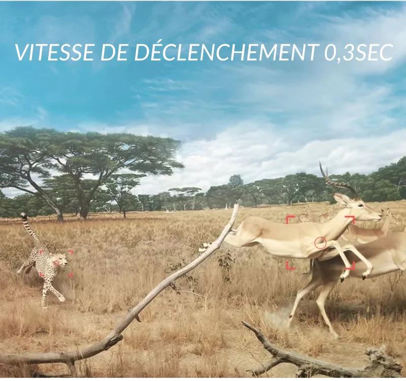 caméra de chasse 4k tr-92s vue d'ensemble