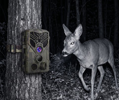 caméra de chasse carte sd et connectique