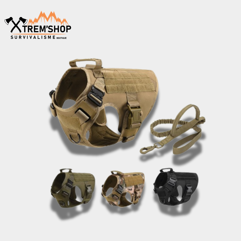 Harnais militaire pour chien porté