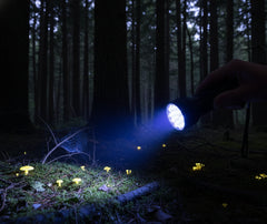 lampe led lumière bleue en situation