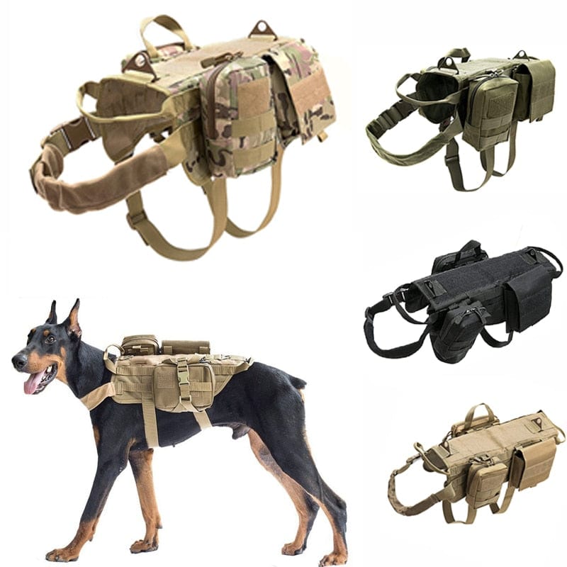 Harnais camouflage chien militaire vue de face