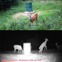 caméra de chasse tr-90s wifi vue d'ensemble