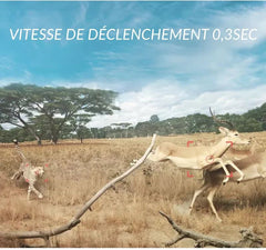 caméra de chasse 4k tr-92s vue d'ensemble