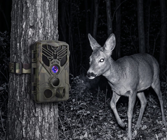 caméra de chasse carte sd et connectique