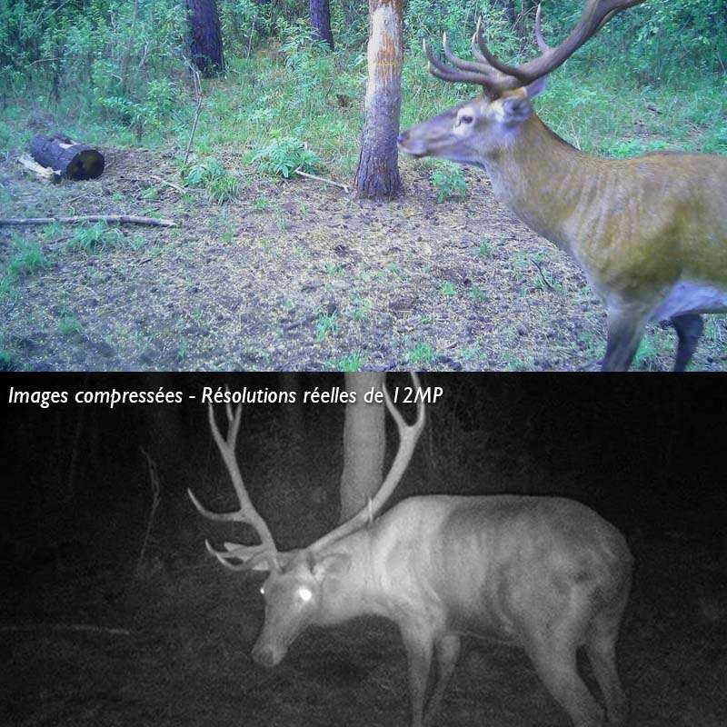 caméra de chasse solaire vue d'ensemble
