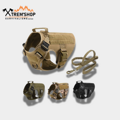 Harnais chien militaire porté