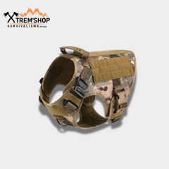 Harnais chien militaire