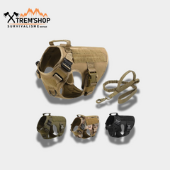 Harnais tactique pour chien porté