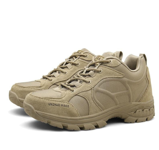 chaussure militaire à coque coloris beige