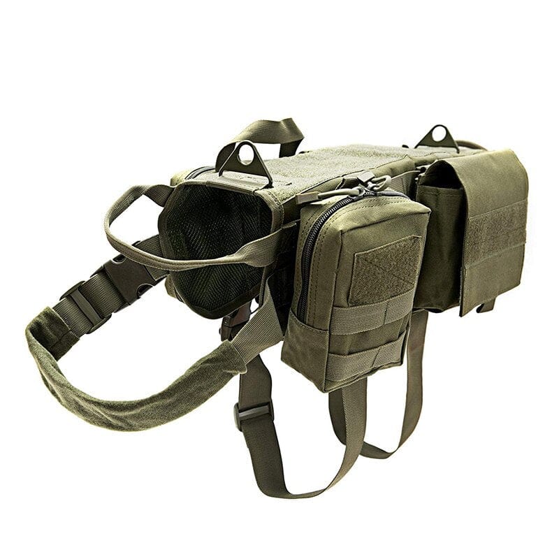 Harnais camouflage chien vert taille S
