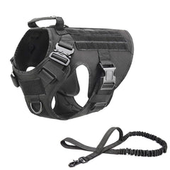 Harnais et laisse tactique chien noir taille S